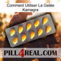 Comment Utiliser La Gelée Kamagra cialis1